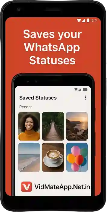 Saves your WhatsApp Statuses